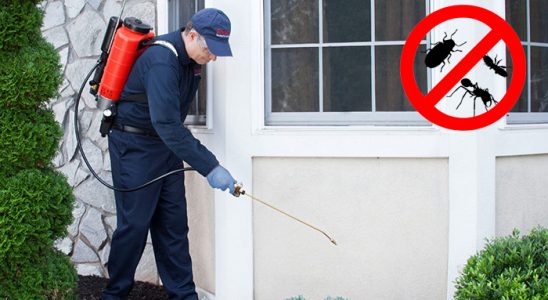 Yumurtalık Bit İlaçlama böcek ilaçlama ve haşere kontrolü — ilaclama-tr.com